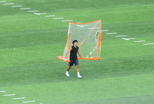 哈里斯 哈里斯