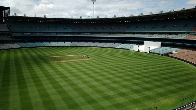 兩大足球文 兩大足球文