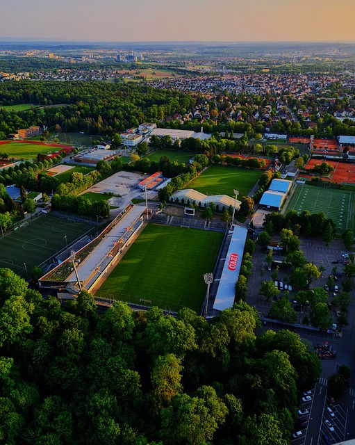 心动不已 心动不已