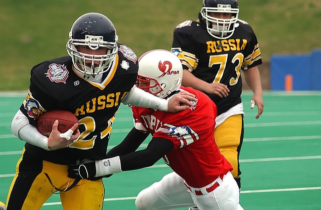 的主場球迷 的主場球迷