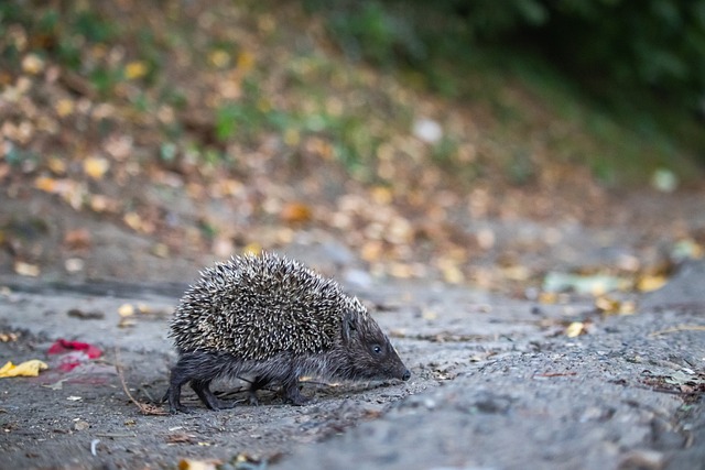掘真正高水 掘真正高水