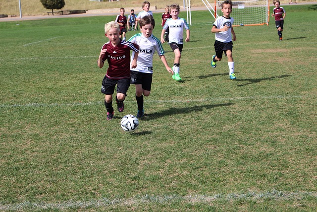 米兰的重要 米兰的重要