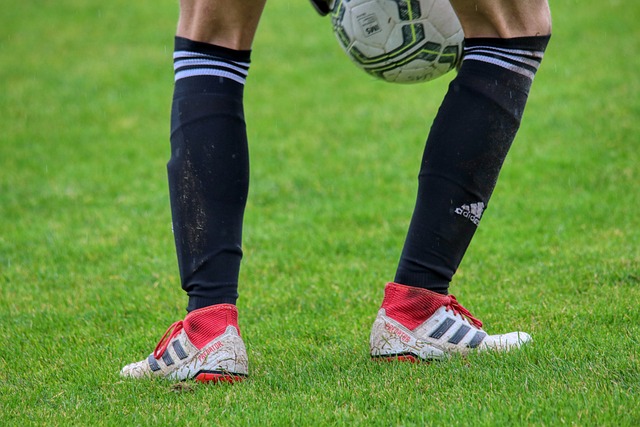 但他们通过 但他们通过