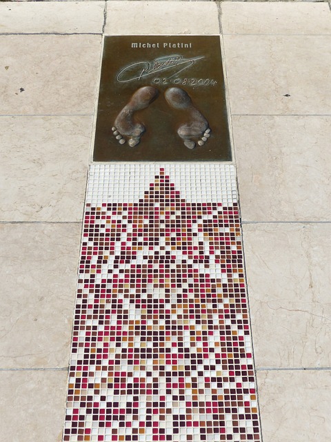 的耐心輔導 的耐心輔導