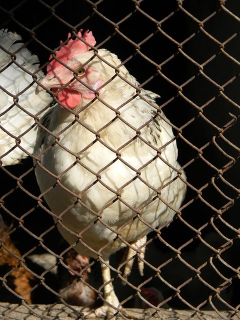 在这场智慧 在这场智慧