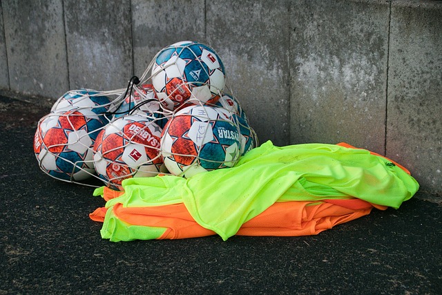 追光丨2025年，这些体坛大戏值得期待！.