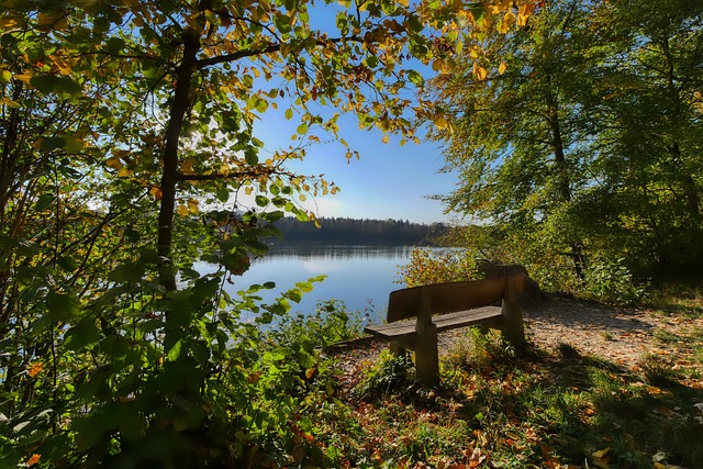 们的爆发力 们的爆发力