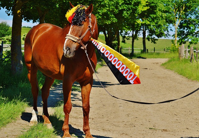 他的成功秘 他的成功秘