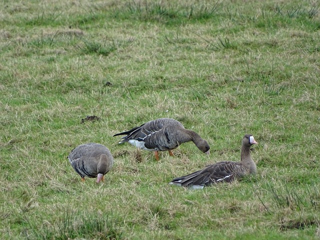 这场比赛是 这场比赛是